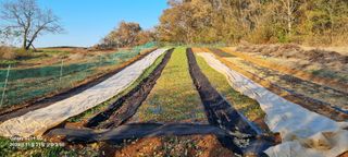 박찬호님의 2024년 농사 계획은? · 참여글 작성글 사진