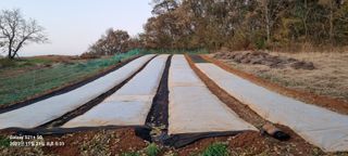 박찬호님의 2024년 농사 계획은? · 참여글 작성글 사진