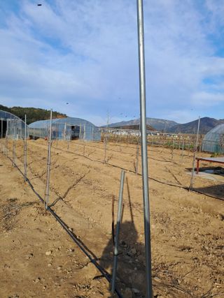 최명주(덕천)님의 2024년 농사 계획은? · 참여글 작성글 사진