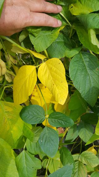 최명주(덕천)님의 2024년 농사 계획은? · 참여글 작성글 사진