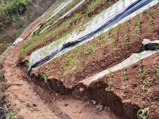 전명선님의 2024년 농사 계획은? · 참여글 작성글 사진