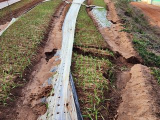 전명선님의 2024년 농사 계획은? · 참여글 작성글 사진