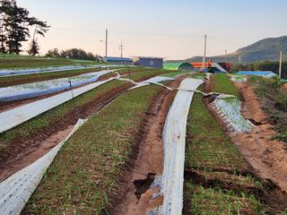 전명선님의 2024년 농사 계획은? · 참여글 작성글 사진