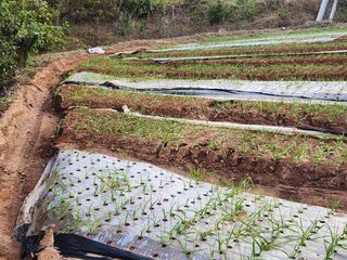 전명선님의 2024년 농사 계획은? · 참여글 작성글 사진