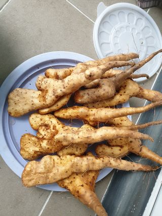 심기정님의 2024년 농사 계획은? · 참여글 작성글 사진