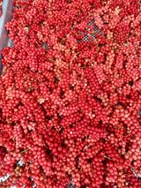 팜모닝 2024년 농사 계획은?·참여글 게시글 이미지