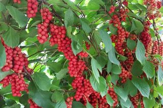 현진수님의 2024년 농사 계획은? · 참여글 작성글 사진