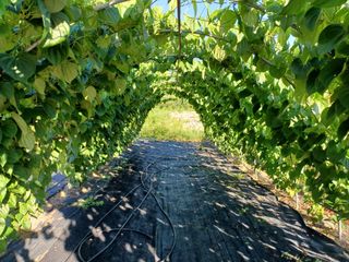 현진수님의 2024년 농사 계획은? · 참여글 작성글 사진