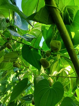 현진수님의 2024년 농사 계획은? · 참여글 작성글 사진