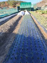 팜모닝 2024년 농사 계획은?·참여글 게시글 이미지