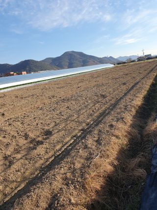 약손아빠 님의 2024년 농사 계획은? · 참여글 작성글 사진