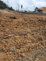 팜모닝 2024년 농사 계획은?·참여글 게시글 이미지