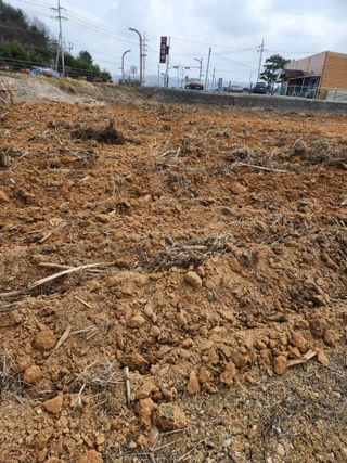 손오공처럼재능만땅님의 2024년 농사 계획은? · 참여글 작성글 사진