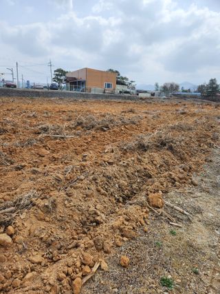 손오공처럼재능만땅님의 2024년 농사 계획은? · 참여글 작성글 사진