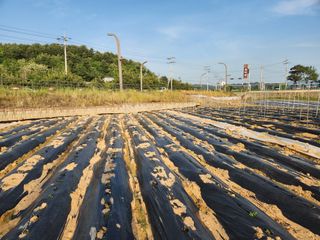 손오공처럼재능만땅님의 2024년 농사 계획은? · 참여글 작성글 사진