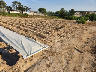 손오공처럼재능만땅님의 2024년 농사 계획은? · 참여글 작성글 사진