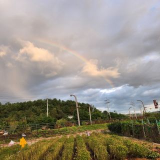 손오공처럼재능만땅님의 2024년 농사 계획은? · 참여글 작성글 사진