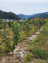 팜모닝 2024년 농사 계획은?·참여글 게시글 이미지