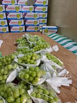 팜모닝 2024년 농사 계획은?·참여글 게시글 이미지