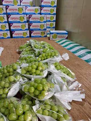 상주 한진학(달빛포님의 2024년 농사 계획은? · 참여글 작성글 사진