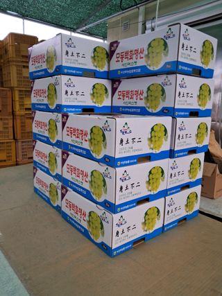 상주 한진학(달빛포님의 2024년 농사 계획은? · 참여글 작성글 사진