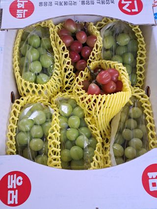 상주 한진학(달빛포님의 2024년 농사 계획은? · 참여글 작성글 사진