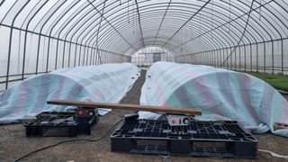 곽행남님의 2024년 농사 계획은? · 참여글 작성글 사진