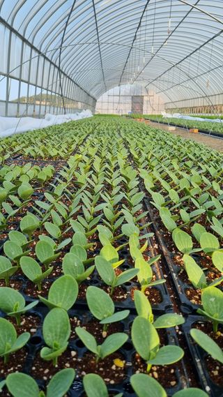 곽행남님의 2024년 농사 계획은? · 참여글 작성글 사진