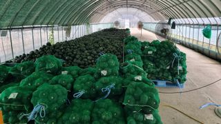 곽행남님의 2024년 농사 계획은? · 참여글 작성글 사진