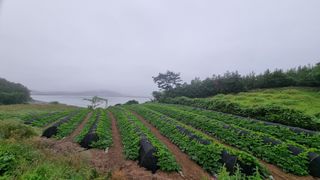 곽행남님의 2024년 농사 계획은? · 참여글 작성글 사진