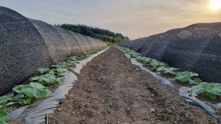 곽행남님의 2024년 농사 계획은? · 참여글 작성글 사진