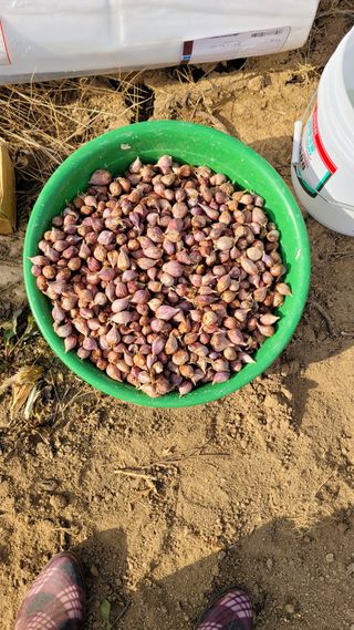 선영~~님의 2024년 농사 계획은? · 참여글 작성글 사진