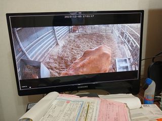 알 수 없음님의 우리동네 · 동네수다 작성글 사진