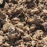 팜모닝 2024년 농사 계획은?·참여글 게시글 이미지