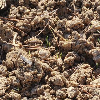 호박13997님의 2024년 농사 계획은? · 참여글 작성글 사진