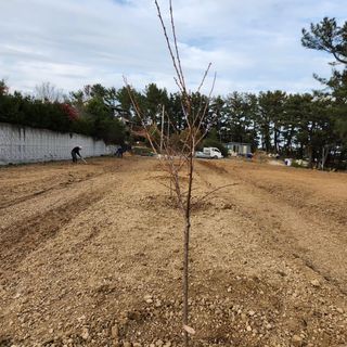 호박13997님의 2024년 농사 계획은? · 참여글 작성글 사진