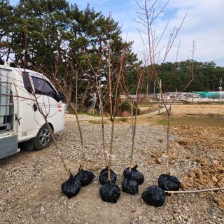 호박13997님의 2024년 농사 계획은? · 참여글 작성글 사진