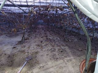 소망농원님의 2024년 농사 계획은? · 참여글 작성글 사진