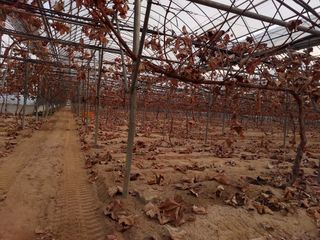 소망농원님의 2024년 농사 계획은? · 참여글 작성글 사진