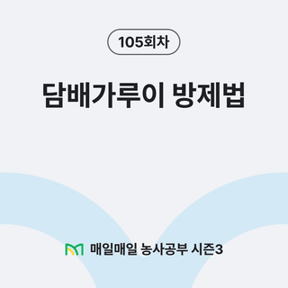 팜모닝 농사공부님의 매일매일 농사공부 · 매일매일 농사공부 작성글 사진