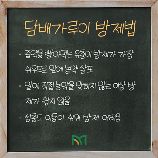 팜모닝 농사공부님의 매일매일 농사공부 · 매일매일 농사공부 작성글 사진