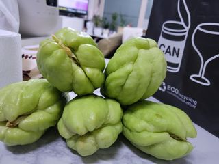 김현정님의 2024년 농사 계획은? · 참여글 작성글 사진