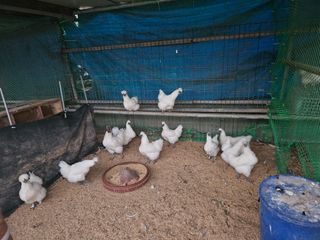 박종언님의 자유주제 · 사진전 작성글 사진