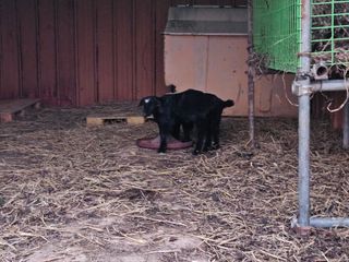 박종언님의 자유주제 · 사진전 작성글 사진