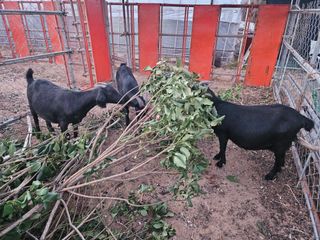 박종언님의 자유주제 · 사진전 작성글 사진