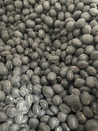 정연희님의 작성글 사진