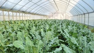 해뜰녁농장박양현님의 2024년 농사 계획은? · 참여글 작성글 사진