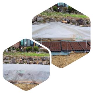 김중언님의 2024년 농사 계획은? · 참여글 작성글 사진