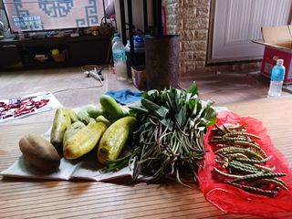 대전댁입니다님의 2024년 농사 계획은? · 참여글 작성글 사진