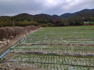 단진동님의 2024년 농사 계획은? · 참여글 작성글 사진